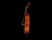 J.T.L Cello 4/4 Violoncelles Supérieurs après Stradivarius